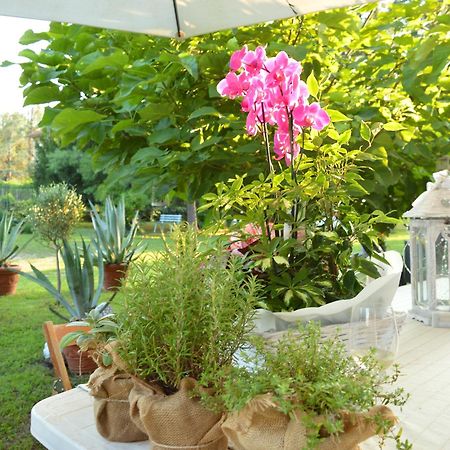 Bed & Tours Dimora Di Campagna Bed & Breakfast Castelnuovo Belbo Exterior photo