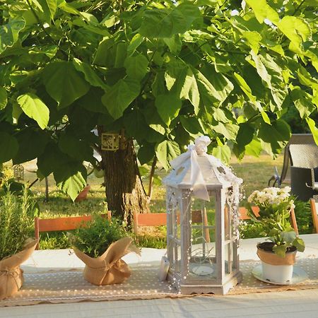 Bed & Tours Dimora Di Campagna Bed & Breakfast Castelnuovo Belbo Exterior photo