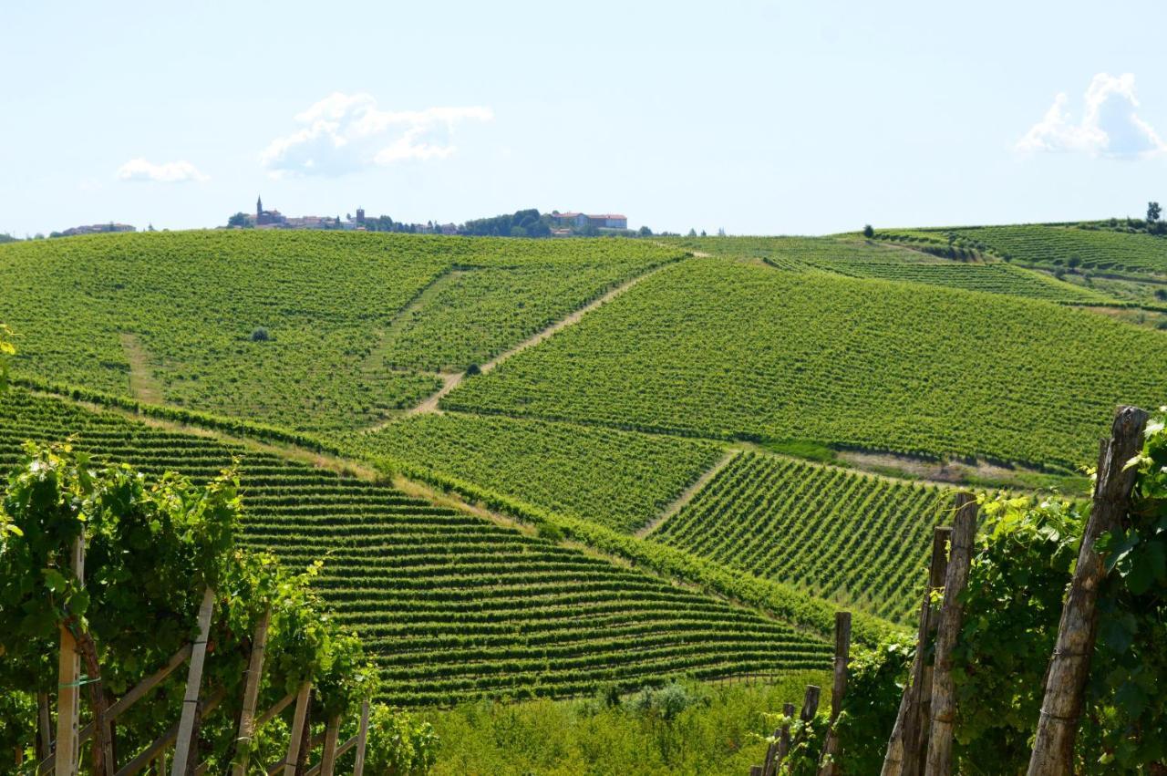 Bed & Tours Dimora Di Campagna Bed & Breakfast Castelnuovo Belbo Exterior photo