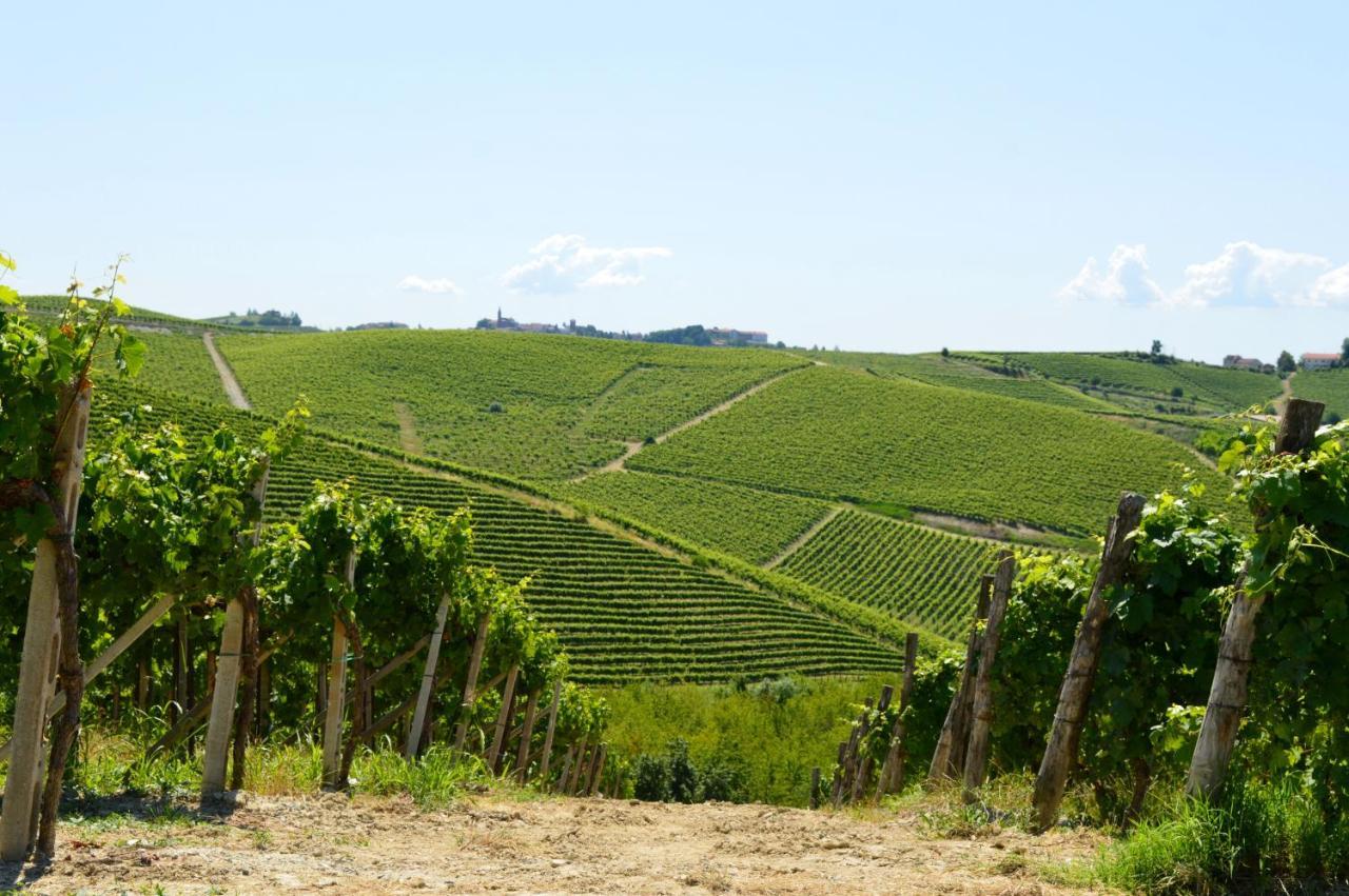 Bed & Tours Dimora Di Campagna Bed & Breakfast Castelnuovo Belbo Exterior photo