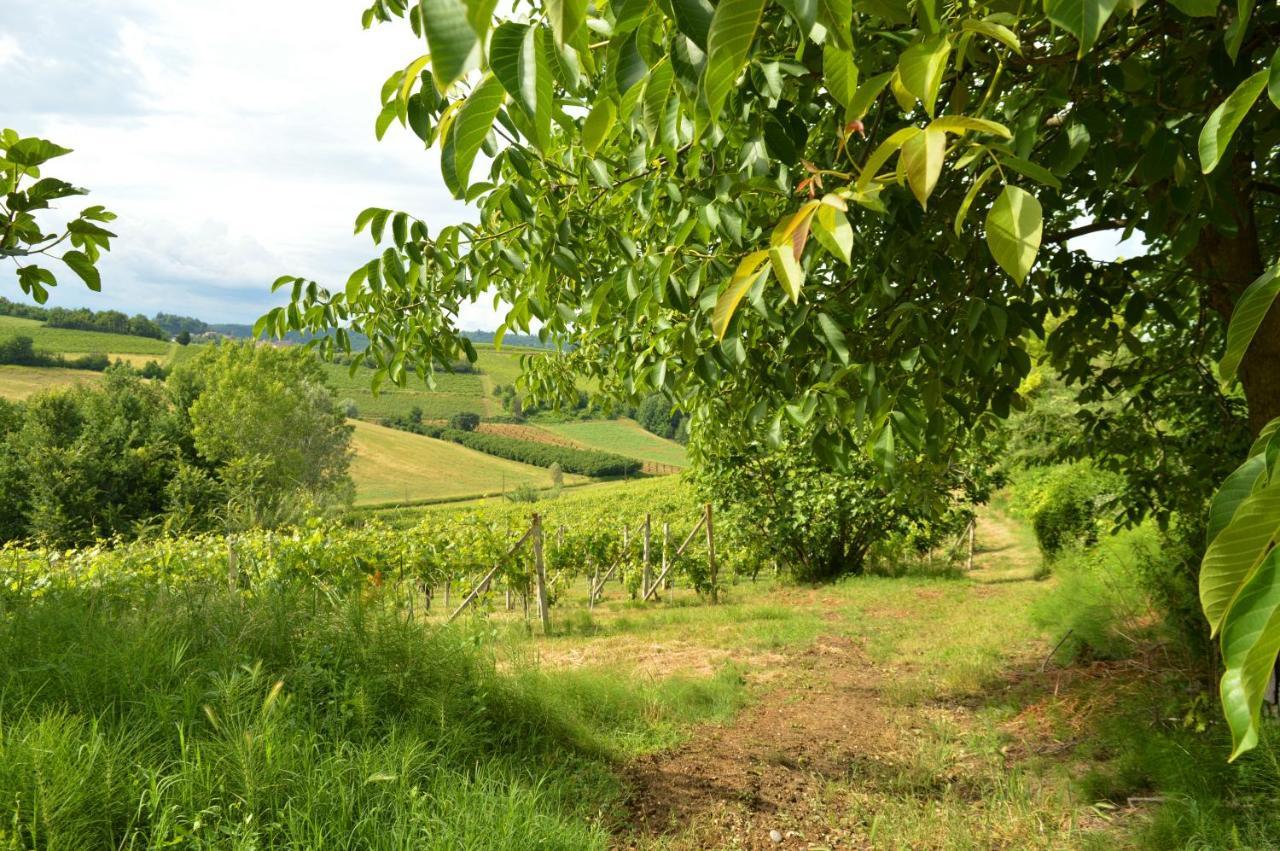 Bed & Tours Dimora Di Campagna Bed & Breakfast Castelnuovo Belbo Exterior photo