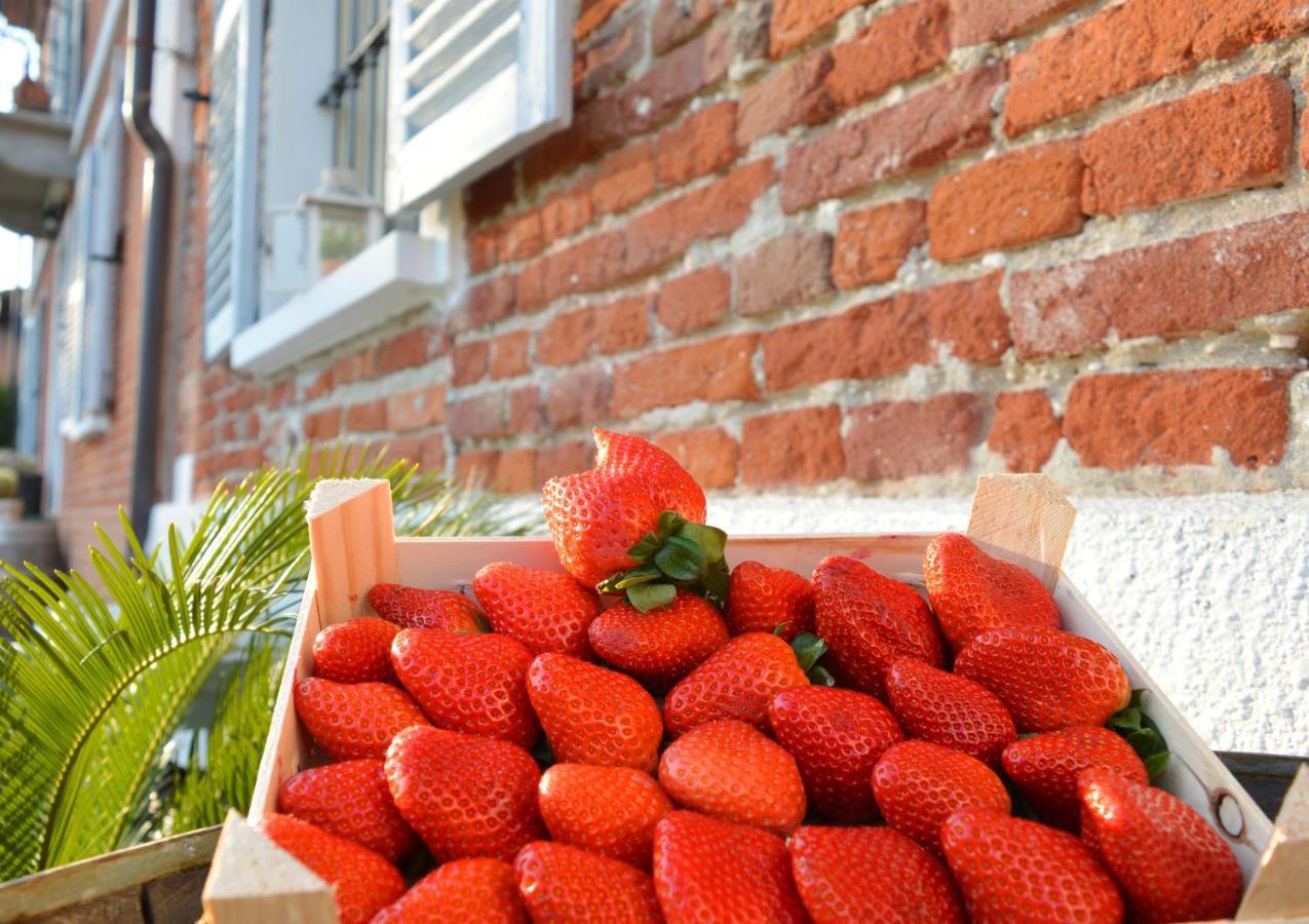 Bed & Tours Dimora Di Campagna Bed & Breakfast Castelnuovo Belbo Exterior photo