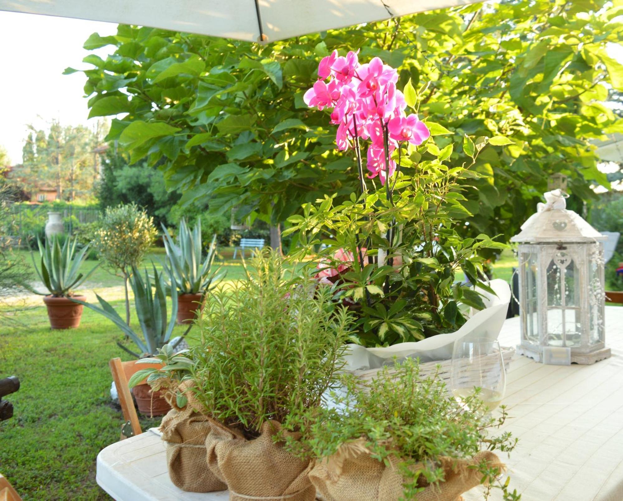 Bed & Tours Dimora Di Campagna Bed & Breakfast Castelnuovo Belbo Exterior photo