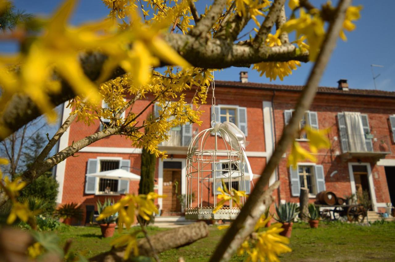 Bed & Tours Dimora Di Campagna Bed & Breakfast Castelnuovo Belbo Exterior photo